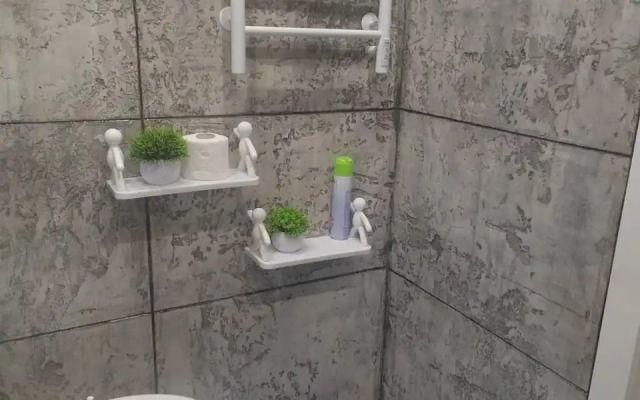 Квартира Ареал Однушка Аэропорт Тц Солнечный