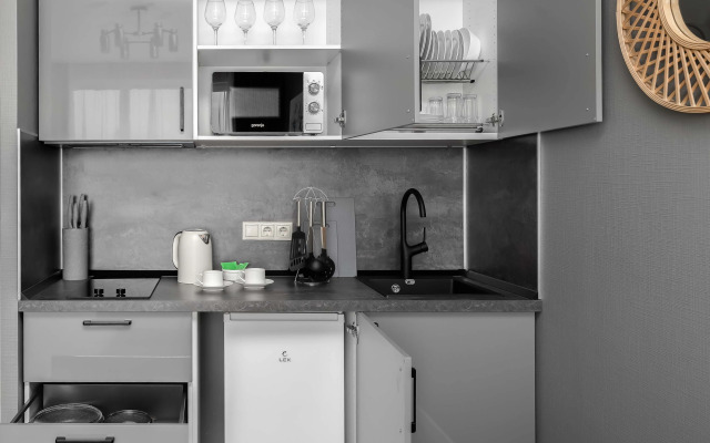 Apartment Knokey Shelepikha
