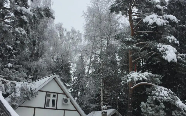 Uyutny Dom V Sosnovom Lesu Private house