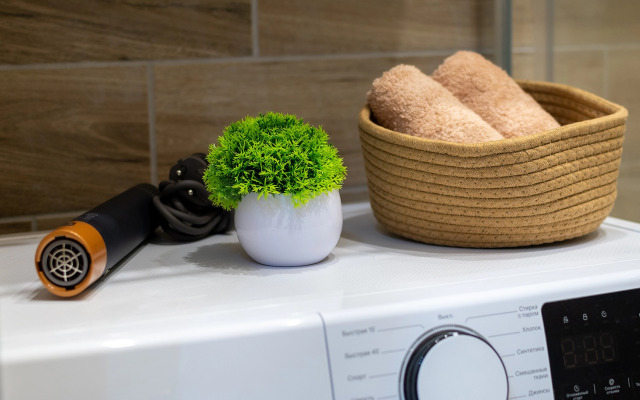 V Kurortnom Gorodke Ot Letoapart Apartment