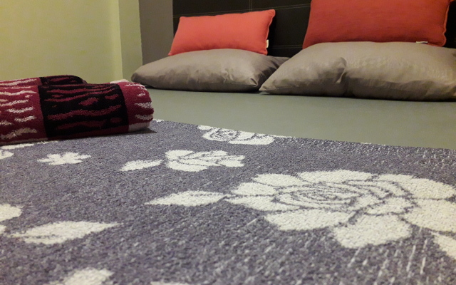 Quiik Cat Mini-Hotel