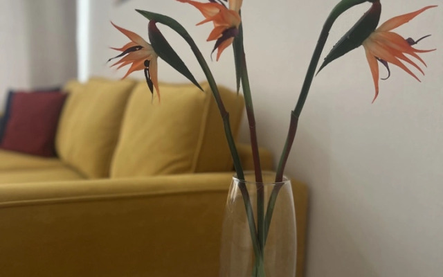 Квартира просторная 2-х комнатная на Центральной площади