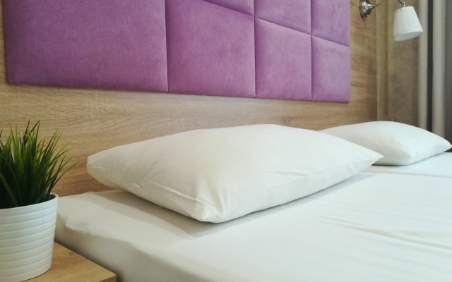 Amosov Guest House
