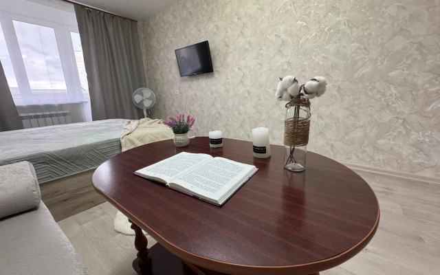 Квартира АК БАРС в центре Казани