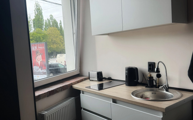 Апартаменты Дом Искусств