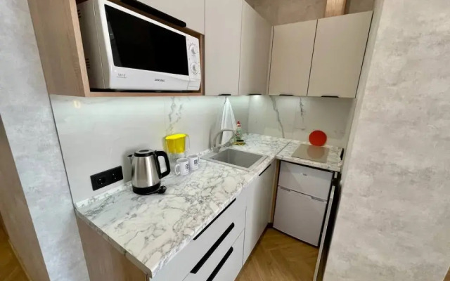 Апартаменты В Гости! на Запорожской 69 (студия 6 с Джакузи)