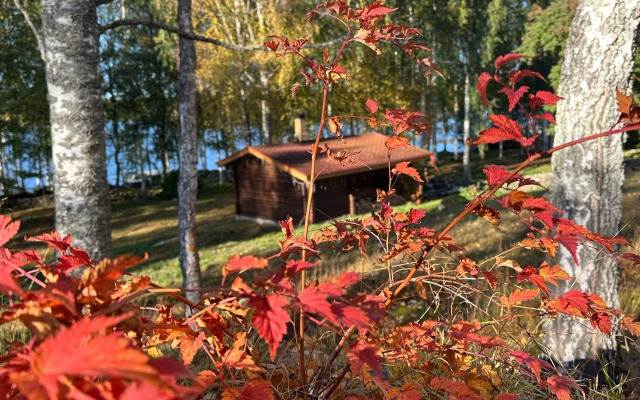 Гостевой дом Karjala Apartments