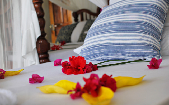 Aya Beach Bungalows Hotel