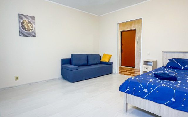 Odnokomnatnye na Guryanova 2/3 Apartments