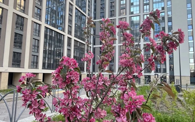 Квартира Новая у метро Московская