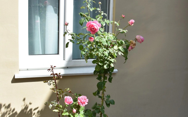 Апартаменты Старый Кисловодск