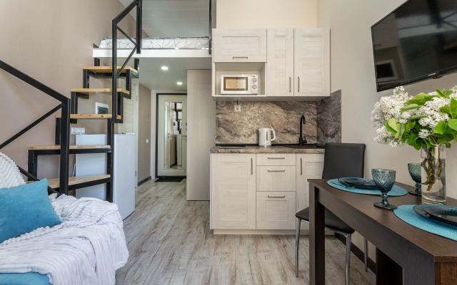 Апартаменты На Владимирском Студия в Центре