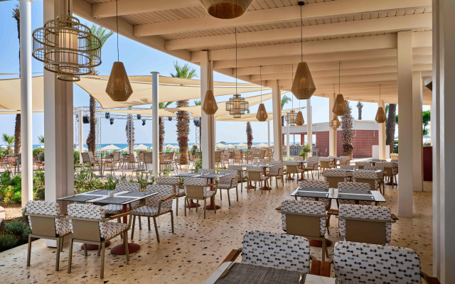 Paloma Grida - All Inclusive