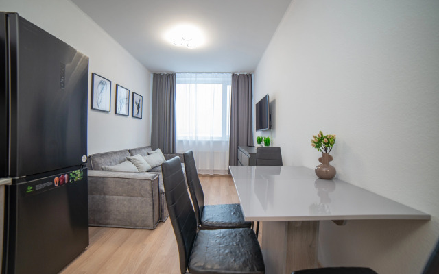 Апартаменты Гагарина 9 Серая