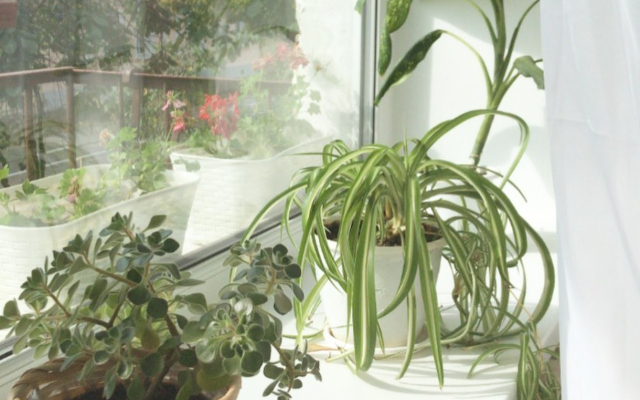 Апартаменты Ретро в исторической части города Коломна