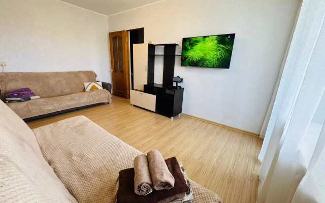 Квартира Большая двухкомнатная квартира