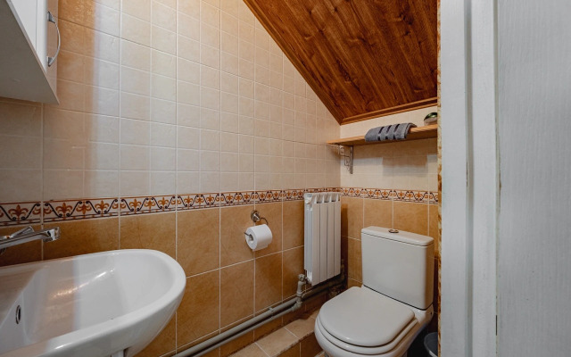 Сhaykiny Kanikuly Private house