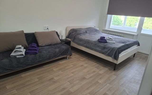 Uyutnaya Kvartira Na Puzakova Flat