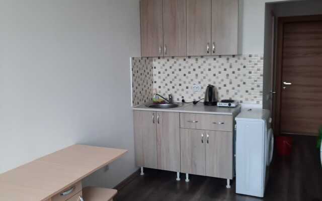 Апартаменты Енисейская Сибирь 411