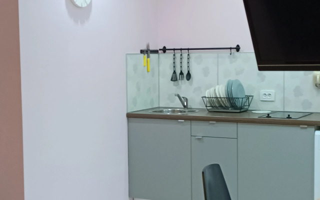 Апартаменты Библиотечная 45 #1