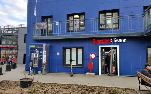 Uyutnaya Studiya U Parka Flat