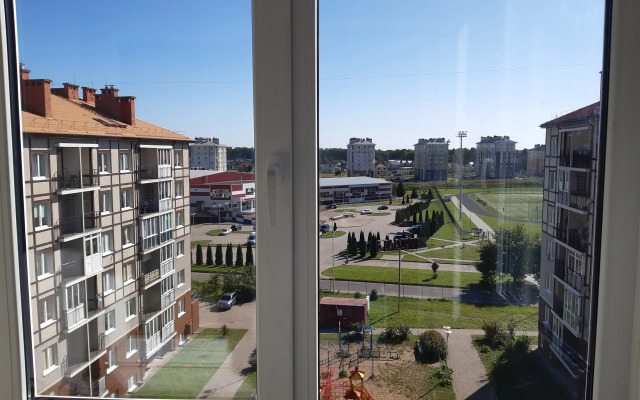 Квартира Золотой жук