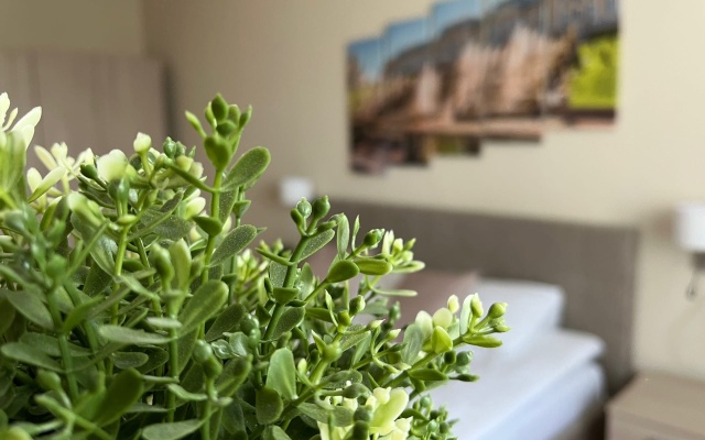 Апартаменты В Питере жить 2