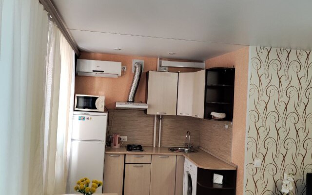 Апартаменты 1-комнатные в Центре Города на Ленина