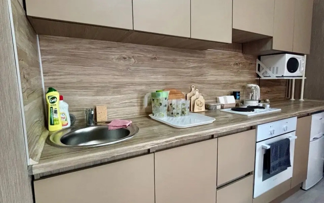 Uyutnaya I Bolshaya Kvartira-Studiya Flat