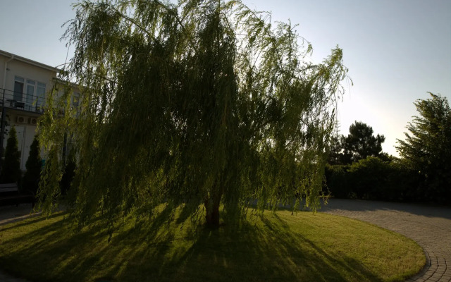 Отель Белая Ива