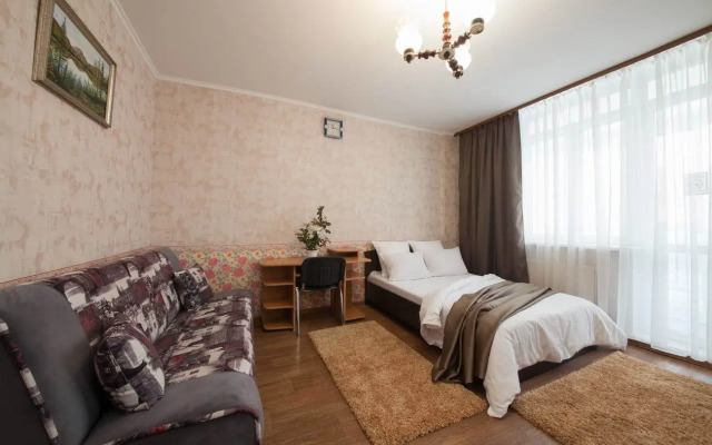 Квартира однокомнатная на Алексеева 47