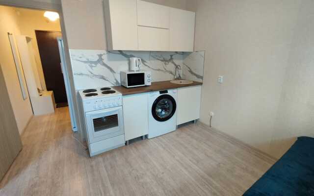 Smart-studiya na Lenina 243 Flat