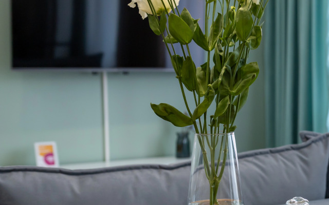 Квартира Шикарная на Депутатской