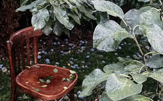 Мини-отель Villa Boutique Hotel