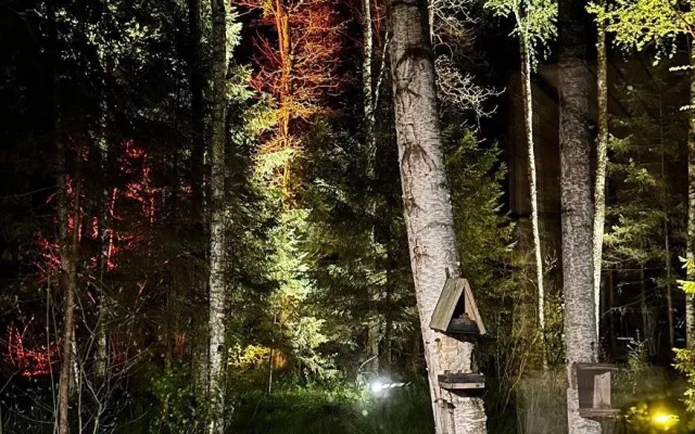 Гостевой дом в лесу