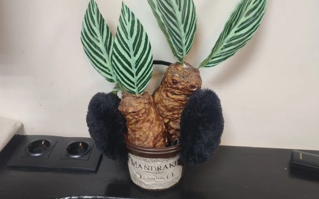 Апартаменты КиноАпартамент