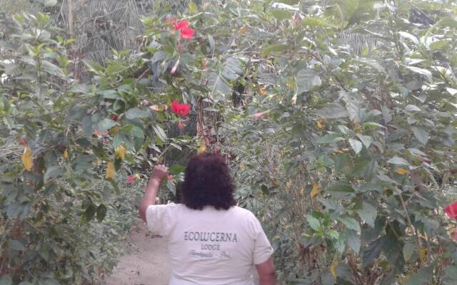 Ecolucerna Lodge Guest House