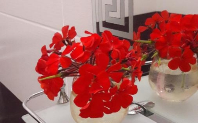 Shapsugskaya 6A Guest House
