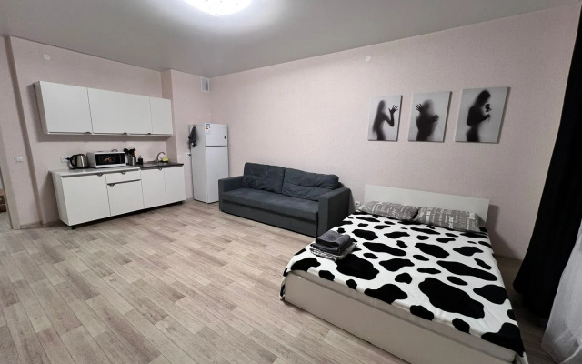 Квартира 3х Комнатная на Бородина 54 до 8 гостей