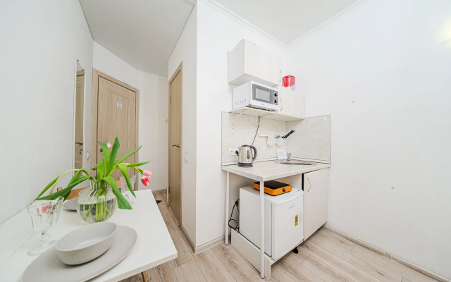 Апартаменты Уютная студия в самом центре Санкт Петербурга