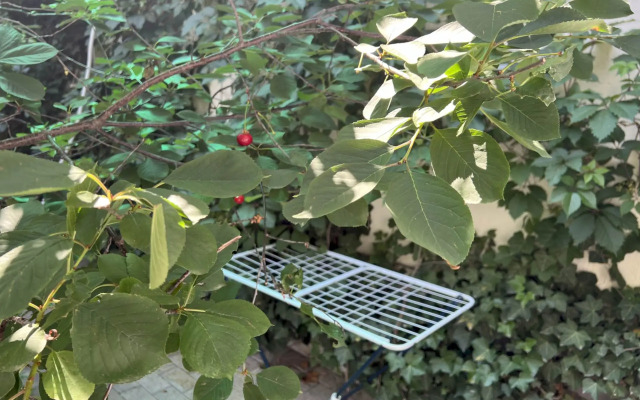 Апартаменты 159 Часть Дома с Отдельным Входом у Моря