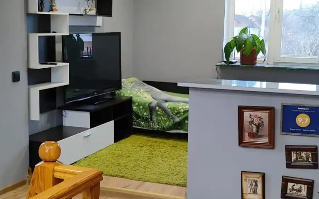 Gostevoy Dom Na Kalinina Guest House