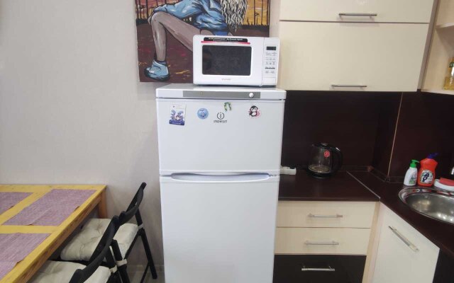 Квартира Студия Видовая Киренского 24