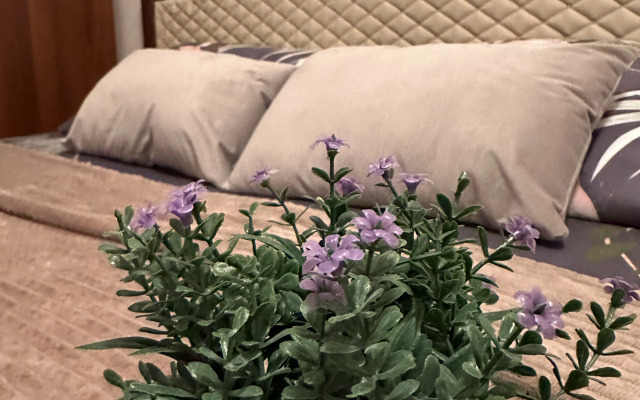 Квартира уютная в центре города