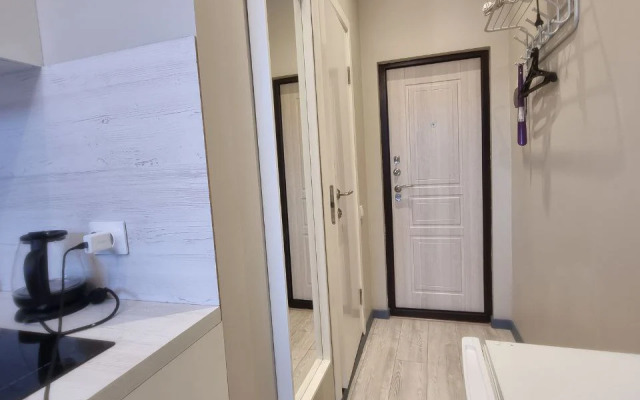 Uyutnaya Studiya V Serdtse Pitera Flat