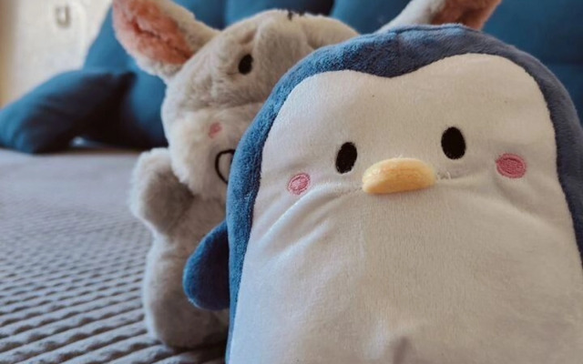 Квартира 502 на улице Восточная 13