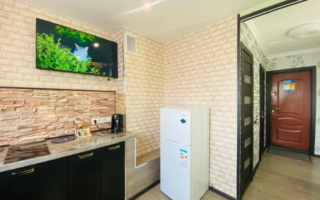 Апартаменты с 1 комнатой с отличным ремонтом (КВАРТИРА51)