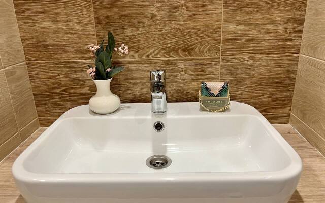 Tolstoy Novomoskovskaya Flat