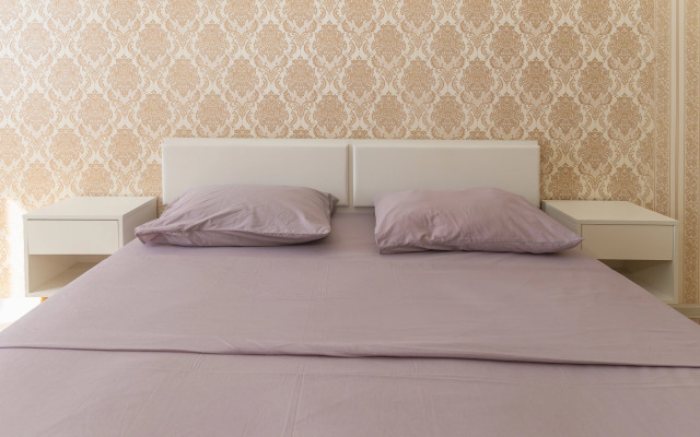 Квартира Чкалова53/3 29