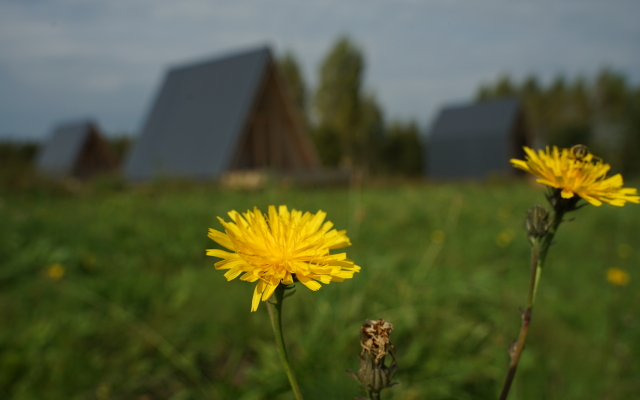 Lavanda Guest house